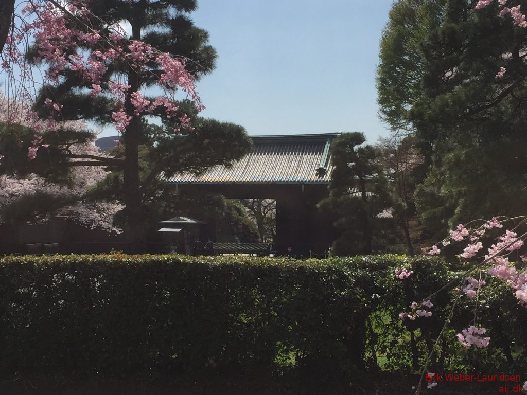 Voldgraven omkring Imperial Palace, Chiyoda, april 2015