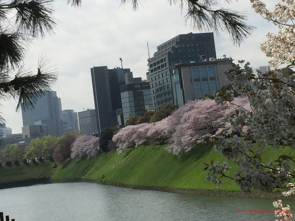 Voldgraven omkring Imperial Palace, Chiyoda, april 2015