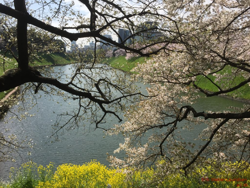 Voldgraven omkring Imperial Palace, Chiyoda, april 2015