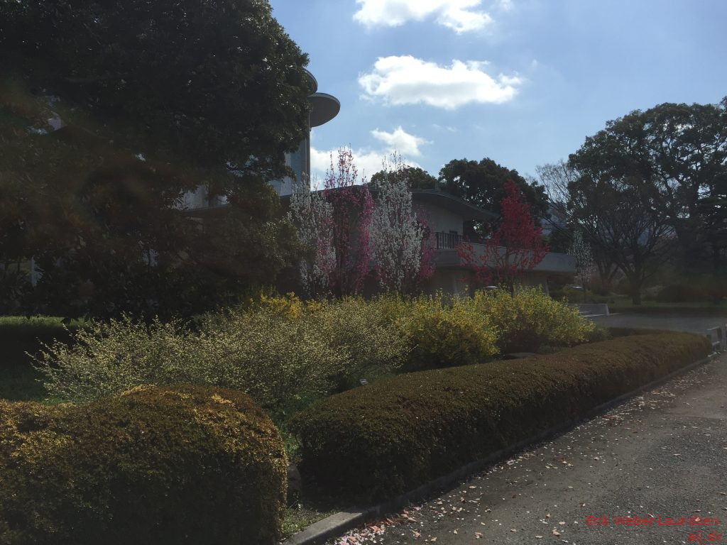 Imperial Palace Gardens, Chiyoda, Tokyo, april 2015