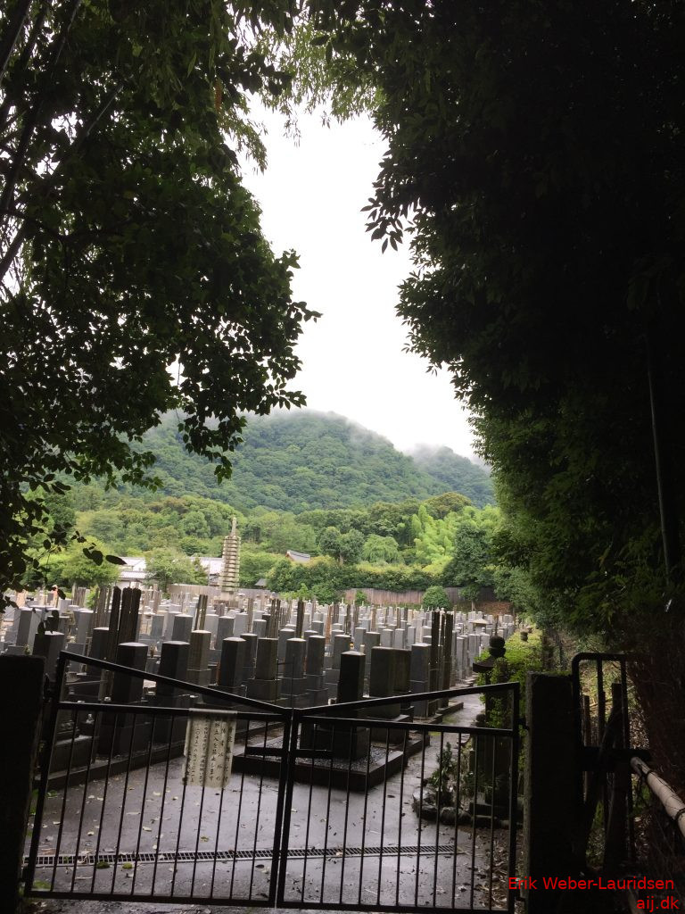 Kirkegård i bambus-skov i Arashiyama, Kyoto, 2016