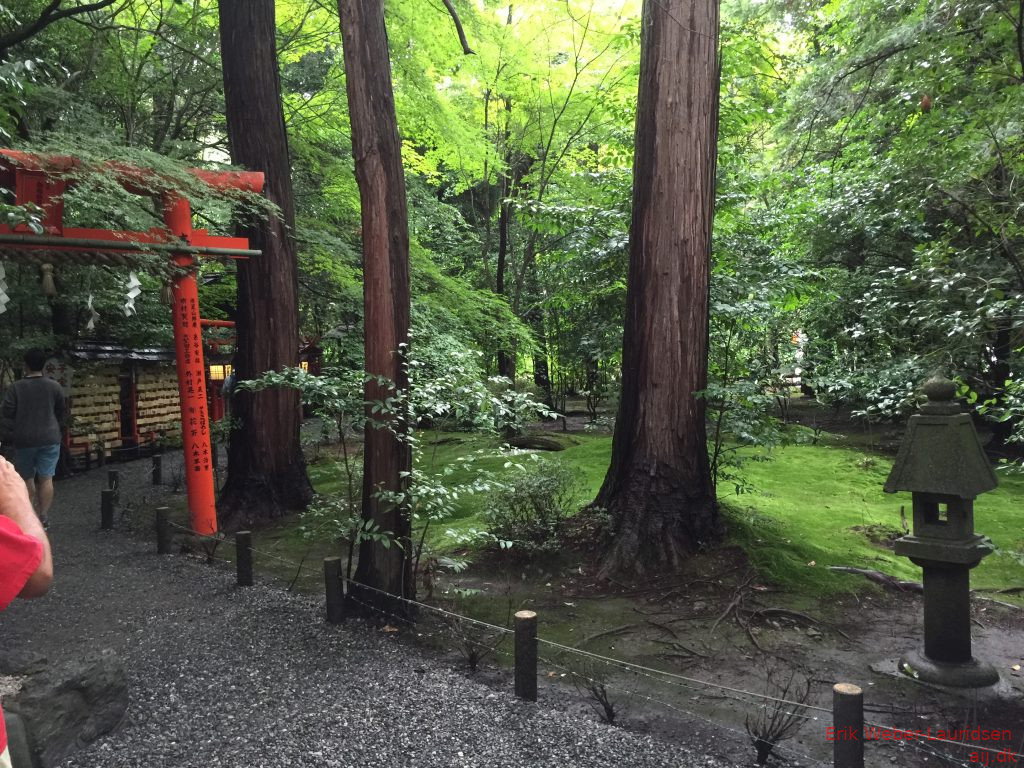 Tempel i bambus-skov i Arashiyama, Kyoto, 2016