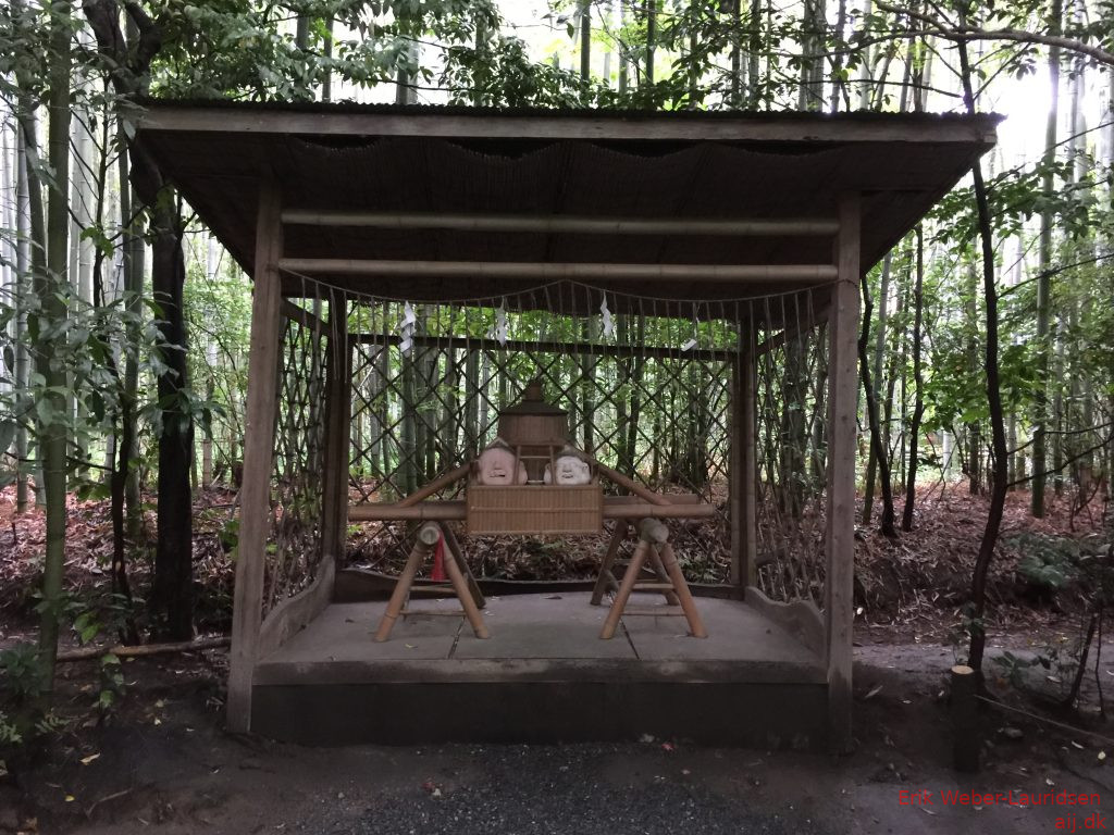 Tempel i bambus-skov i Arashiyama, Kyoto, 2016
