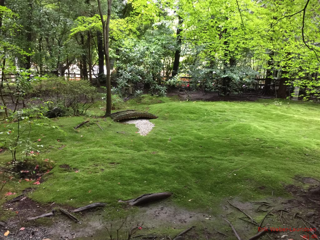 Tempel i bambus-skov i Arashiyama, Kyoto, 2016