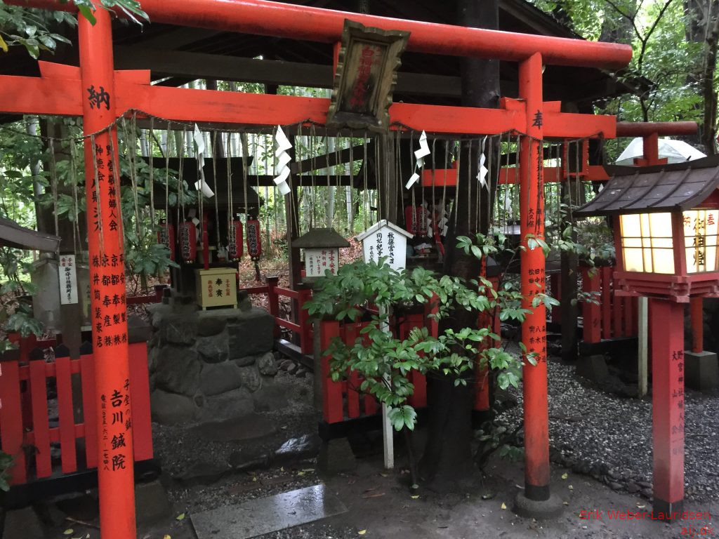 Tempel i bambus-skov i Arashiyama, Kyoto, 2016