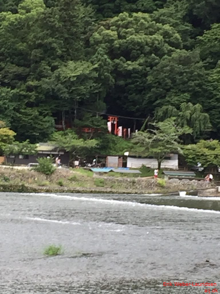 Bjerg med aber ved Arashiyama, Kyoto, 2016