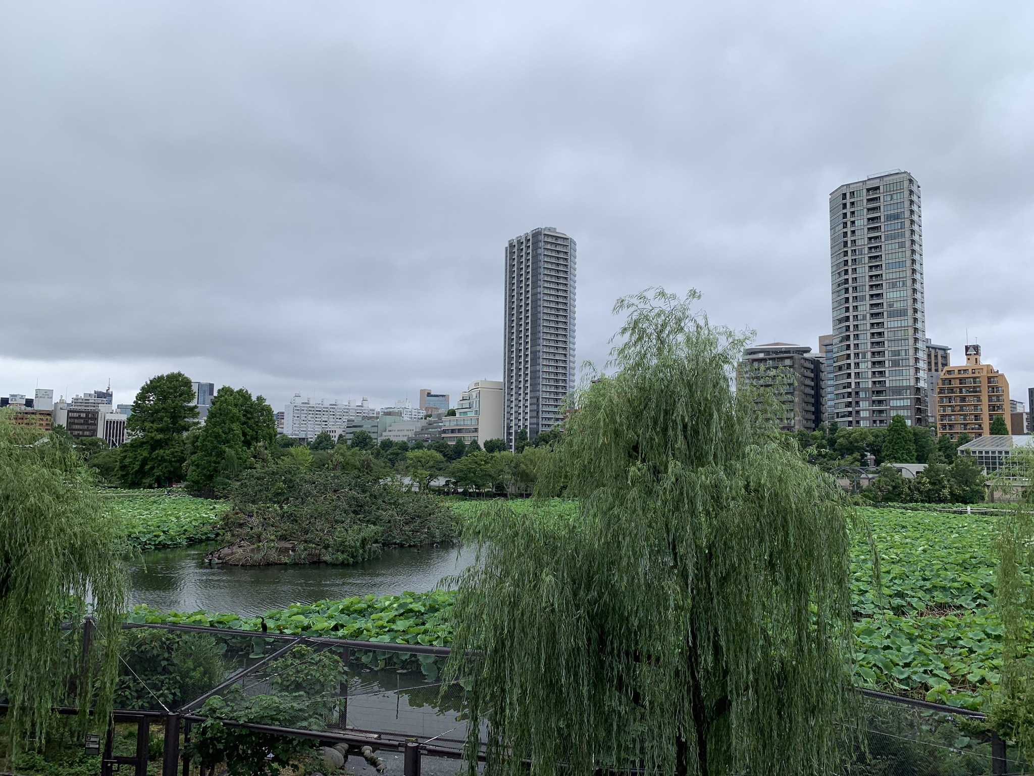 Ueno Park, sommer 2019