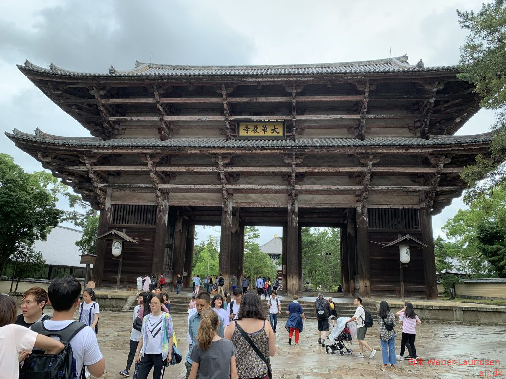 Nara Park, Nara, sommer 2019
