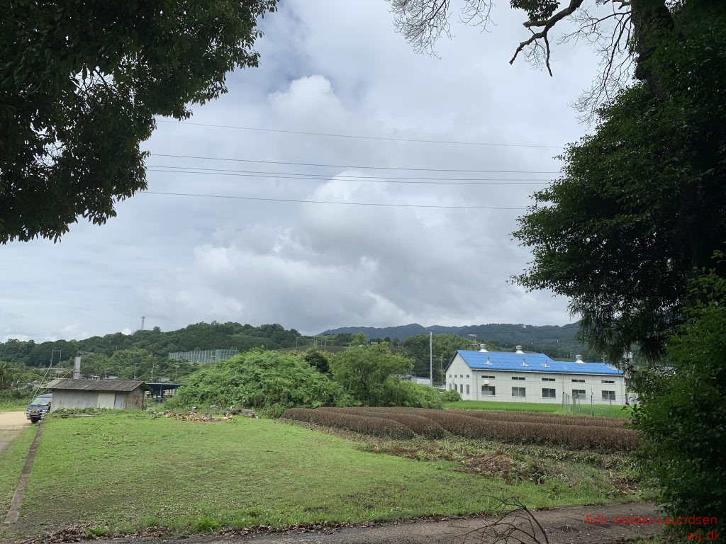 Wazuka, sommer 2019