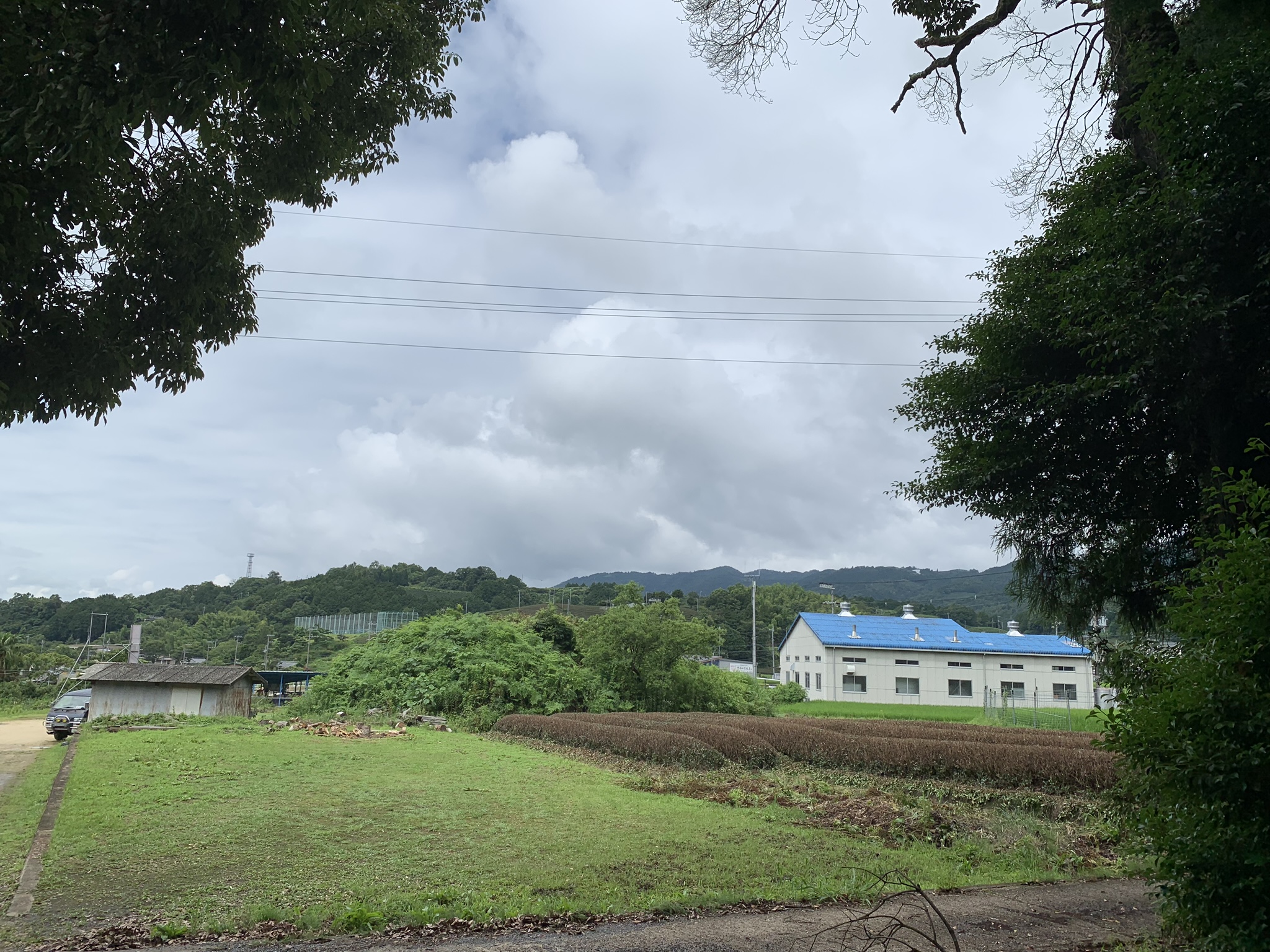 Wazuka, sommer 2019