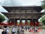 Nara Park, Nara, sommer 2019
