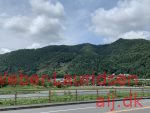 Saga, Kyoto, Sommer 2019