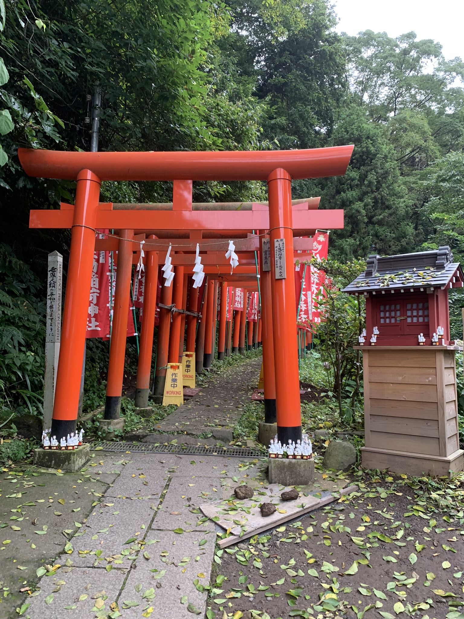 Sasuke Inari Helligdommen, Kamakura, sommer 2019
