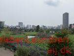 Blik over Ueno Park, sommer 2026
