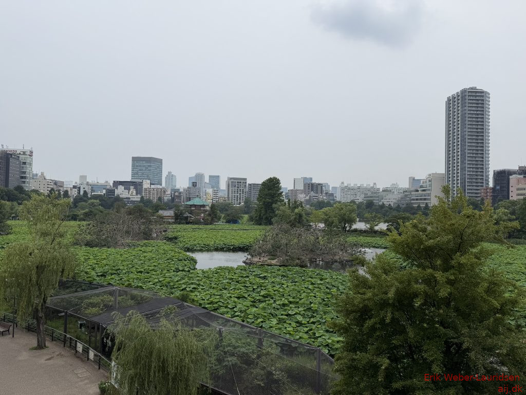 Blik over Ueno Park, sommer 2026